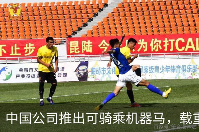 中国公司推出可骑乘机器马，载重660斤续航25公里